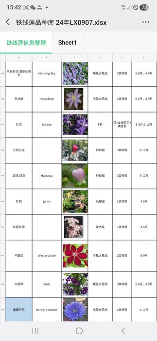 Климатис биринчи кул оптом