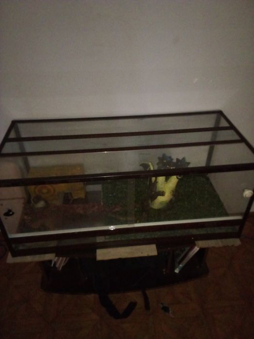 Продам Терариум для ящерицы