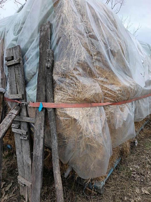 Vand baloti de lucernă cu fan.