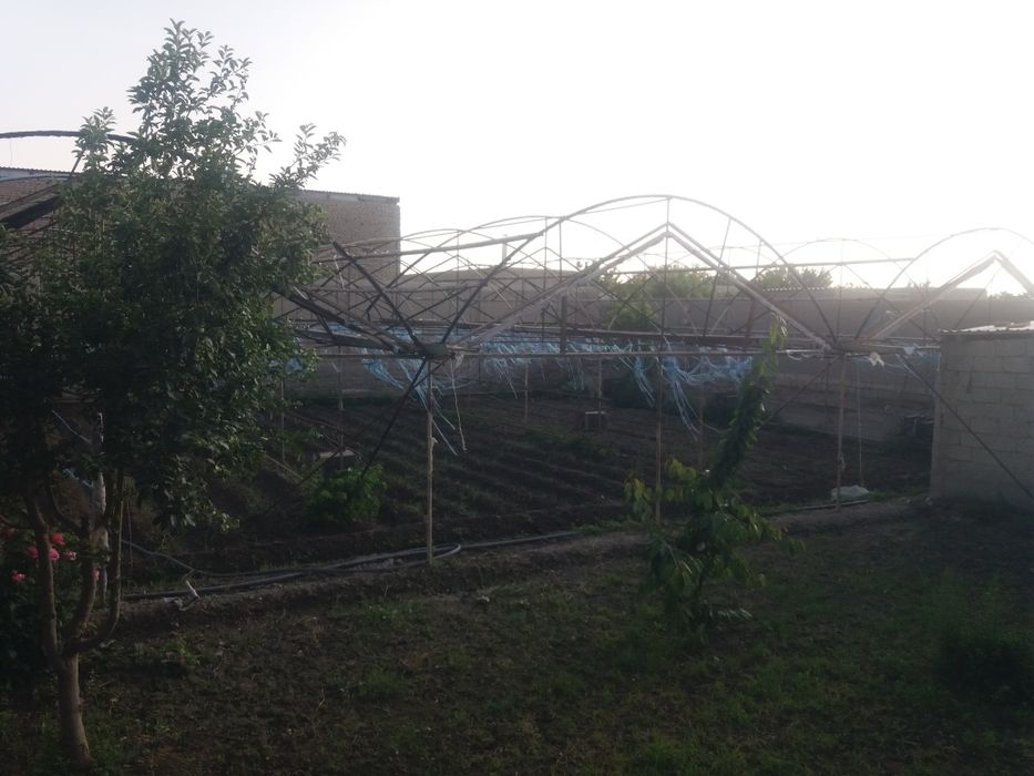 Теплица 10 сотих