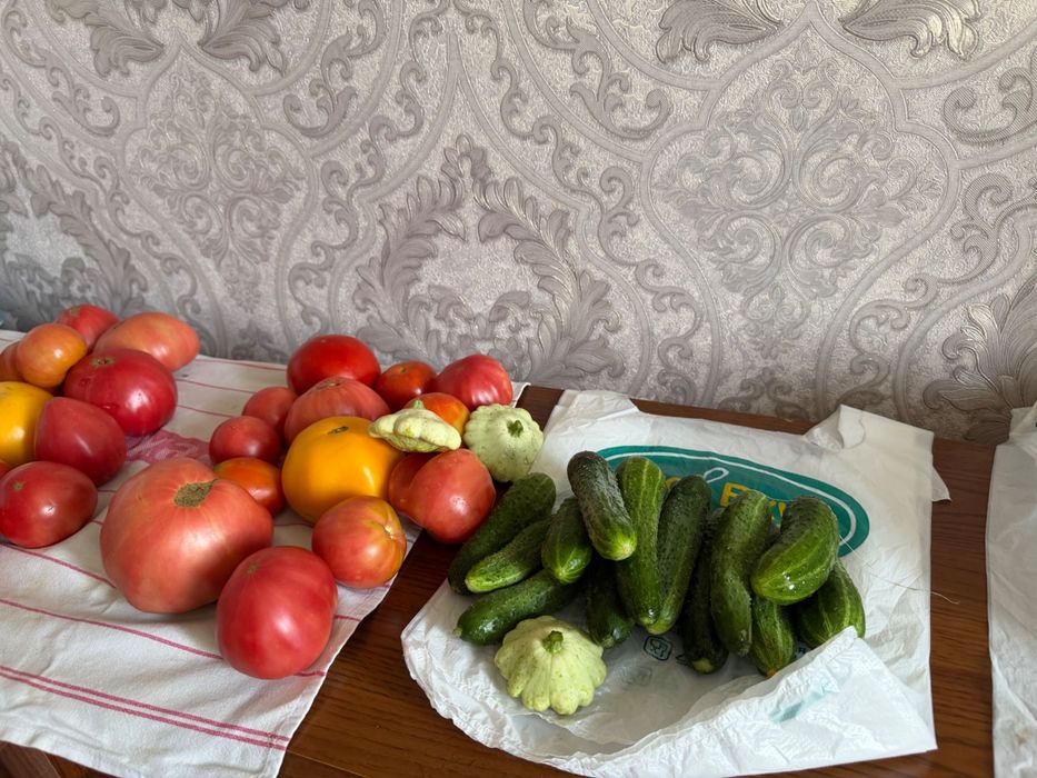 Продам свежие помидоры и огурцы