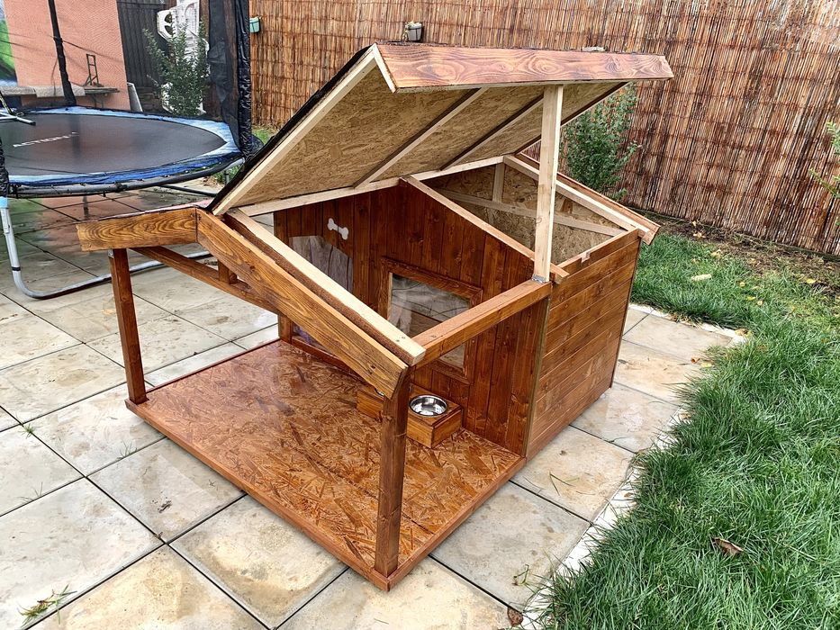 Cusca câine izolată cu terasă