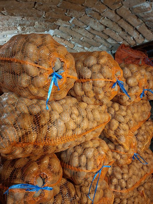 Cartofi consum Ultra