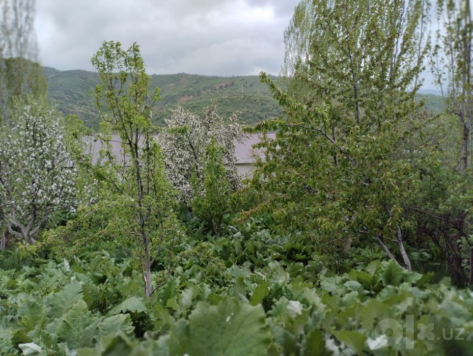 Продается участок в Чимгане.
