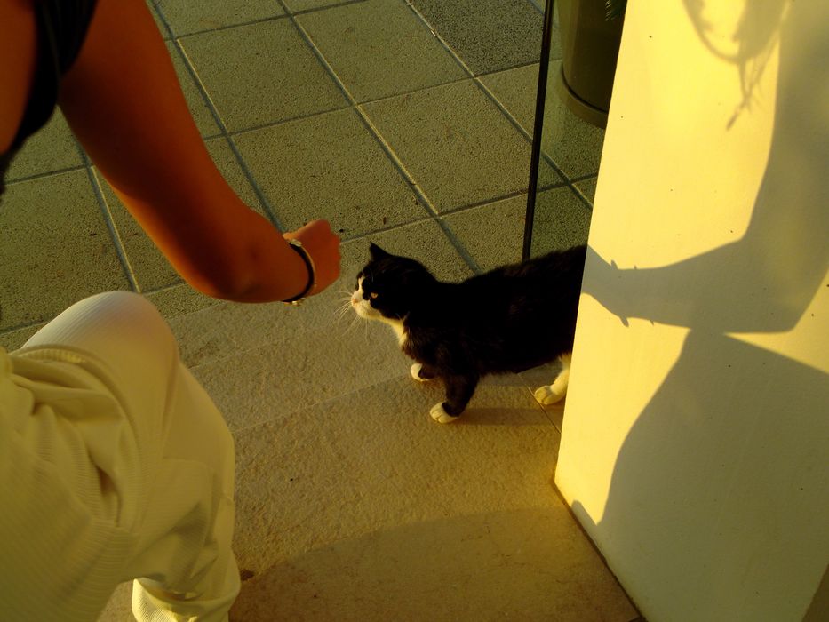 Camera foto digitala Fujifilm Finepix T200