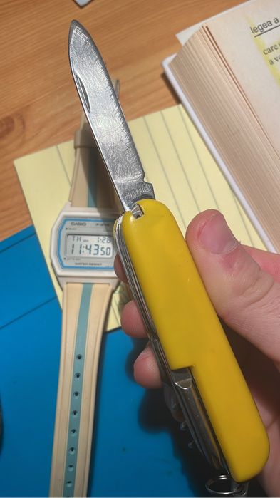 briceag victorinox bear grils