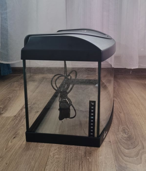 Acvariu Panoramic (Curb) Diversa 54L (60x30x30 cm) + Capac cu LED