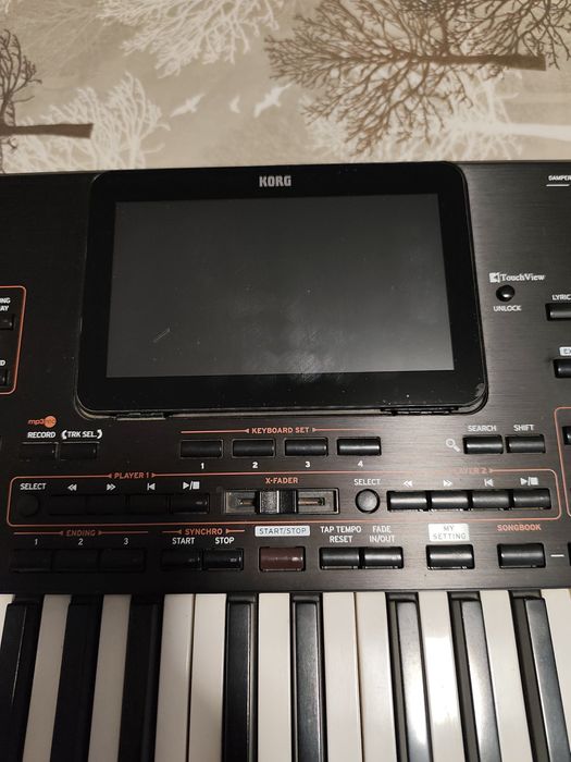 Korg Pa4x/Korgpa4X