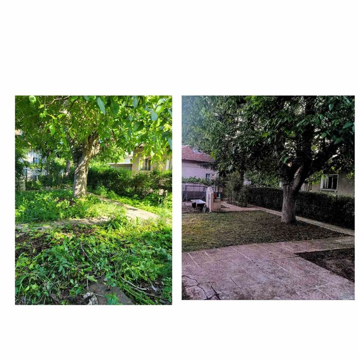 Косене и Почистване на дворове и стари къщи.рязана на опасни дървета