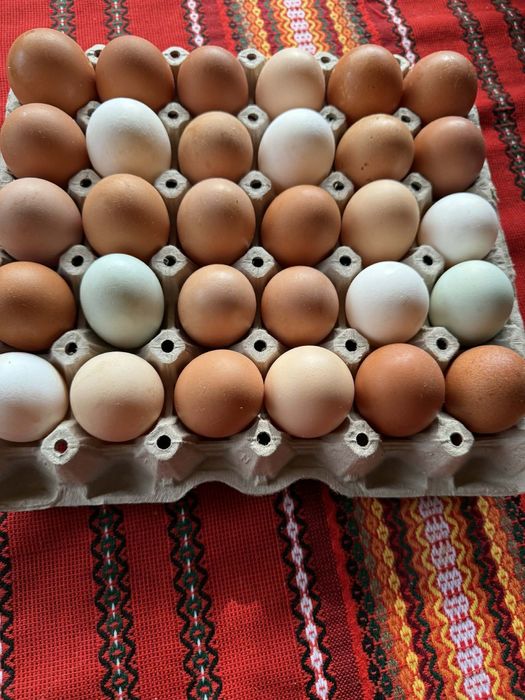 Домашни кокоши яйца