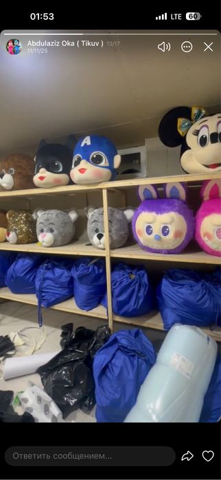 Ayiqlar sotiladi optom