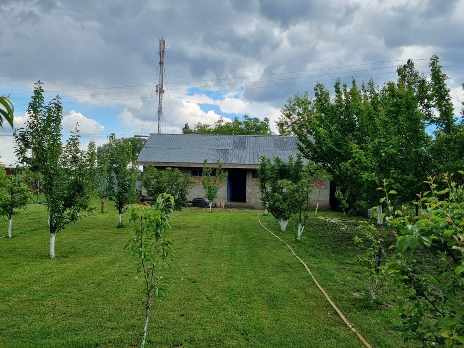 Casă de vânzare Plopu