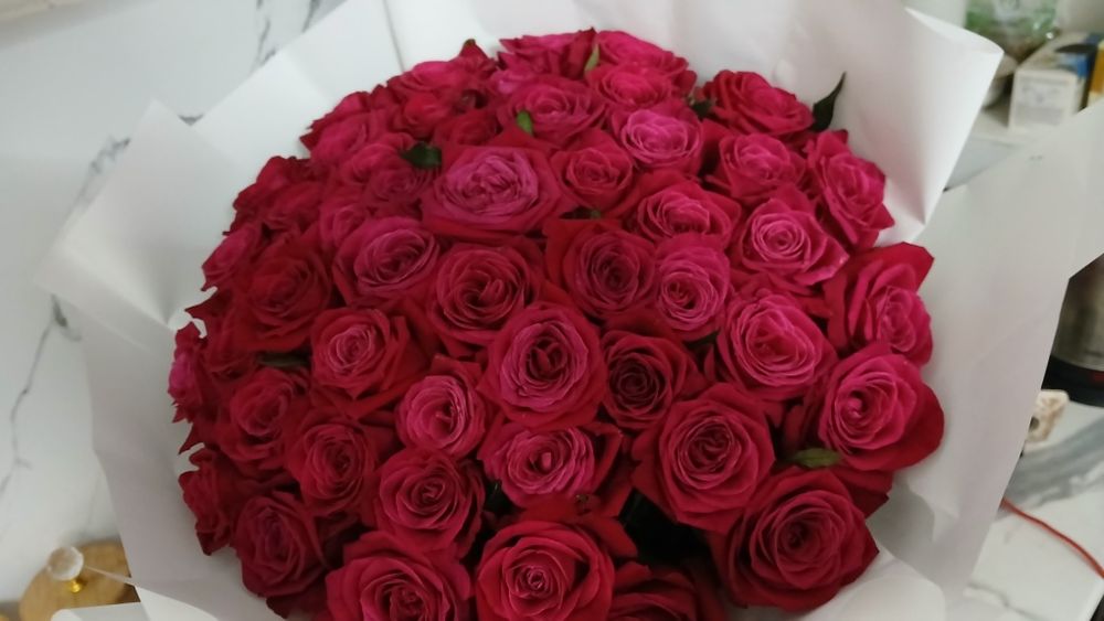 Роза 51 шт.свежый