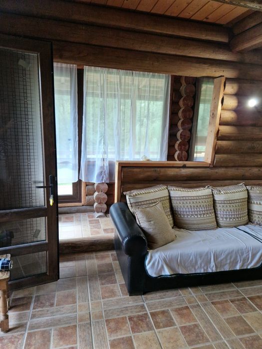 Cabana pe malul Tarcăului + 500 mp teren