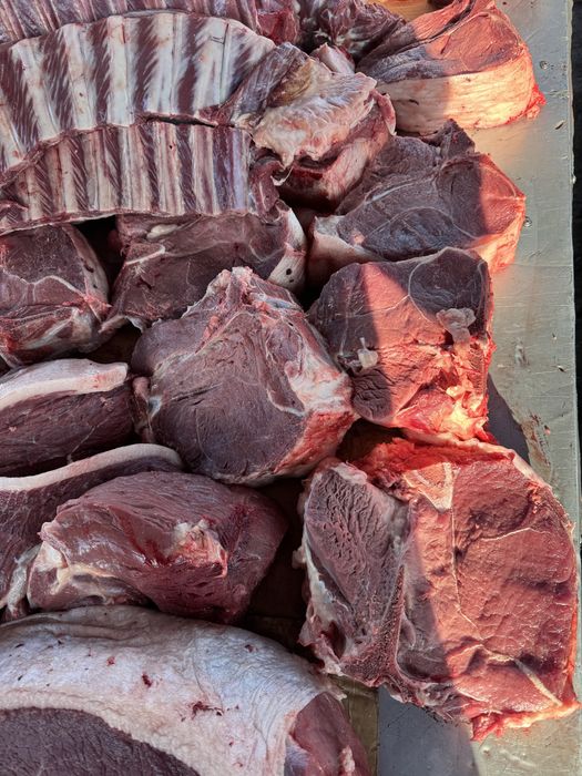 жылқы еті, конина, жілік, соғым