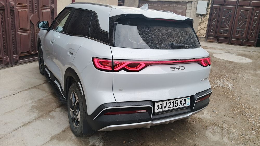 BVD yuan ap 2025