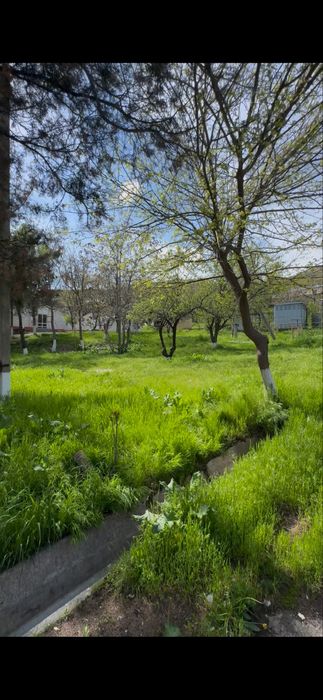 Зона отдыха в агалыке!