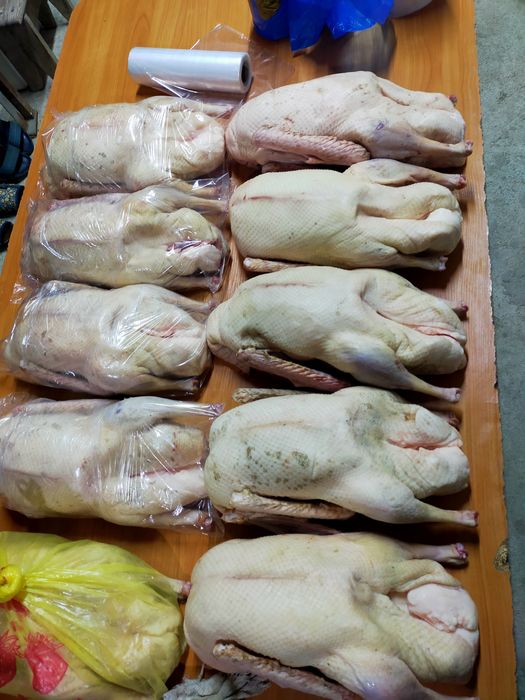 Гуси в заморозке