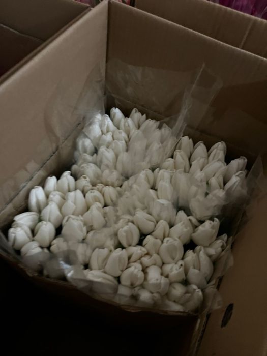 Тюльпаны с доставкой Астана