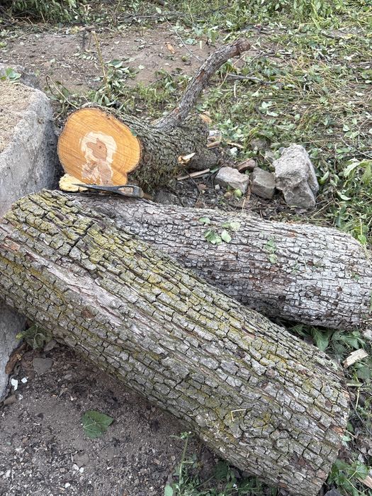 Дрова плодовых деревьев