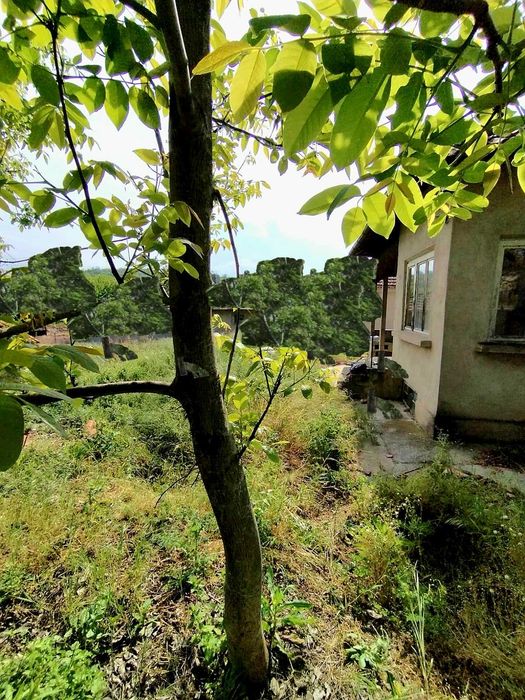 Продава се Къща в с. Попина, Област Силистра - 63 кв.м за 122 €/кв.м - Снимка #1