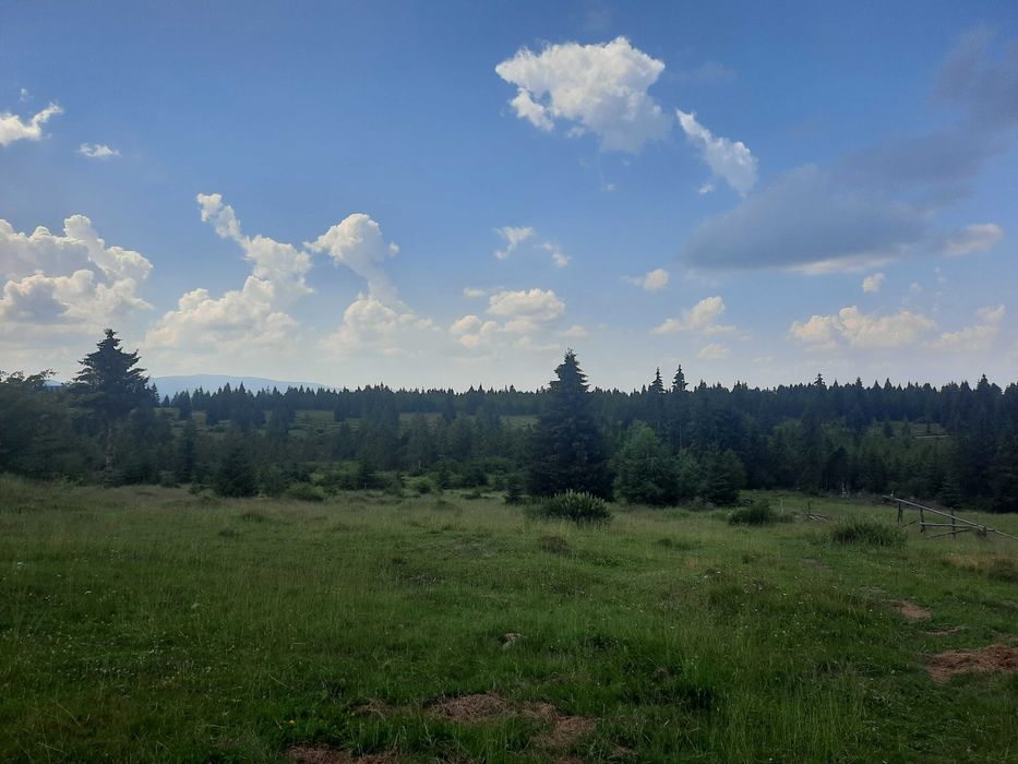 Teren de vanzare, zona Belis, extravilan, 4279 mp