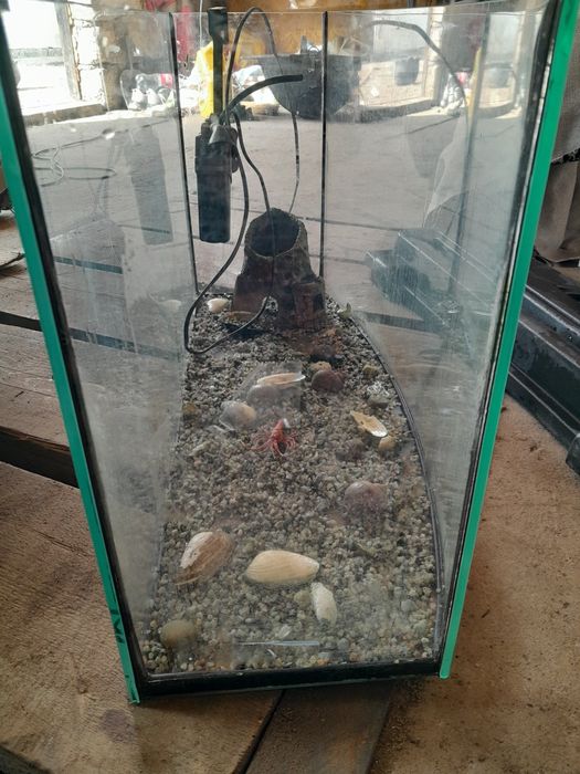 Аквариум для рыбы