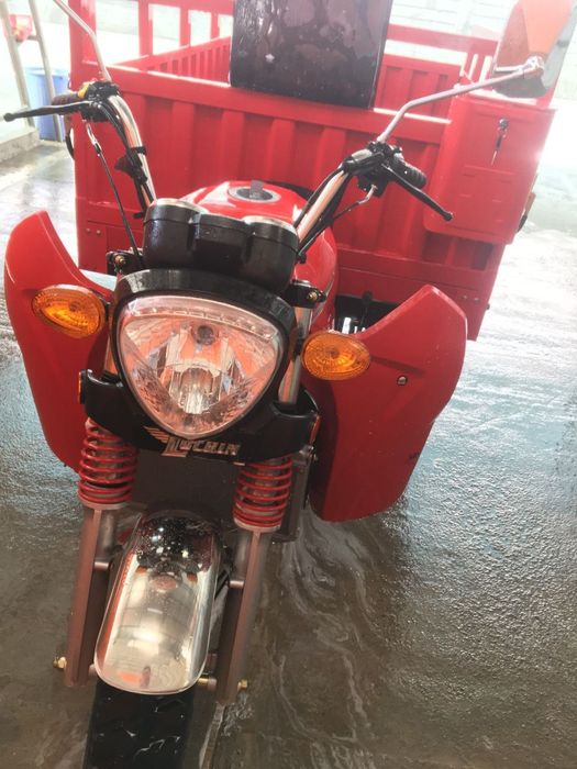 Lochin Moto 300sm³ Yangidek