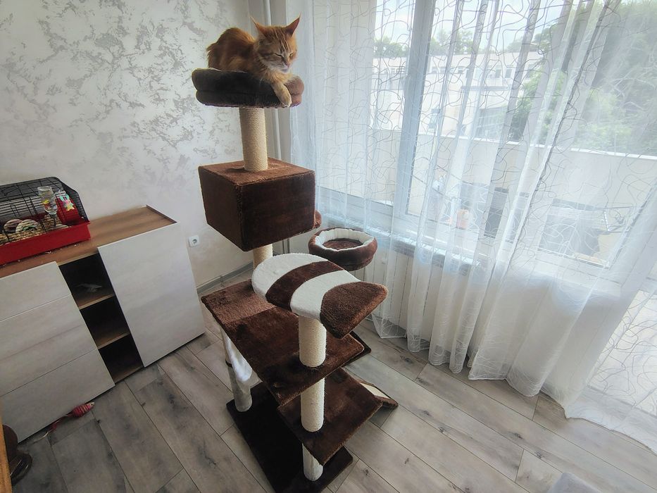 Продава се къща за котка