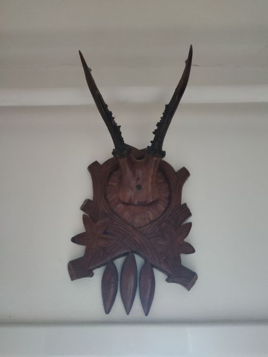 Trofee cerb foarte vechi