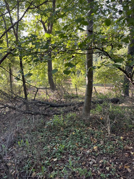 Продава се Къща в с. Драгоданово, Област Сливен - 126 кв.м за 177 €/кв.м - Снимка #7