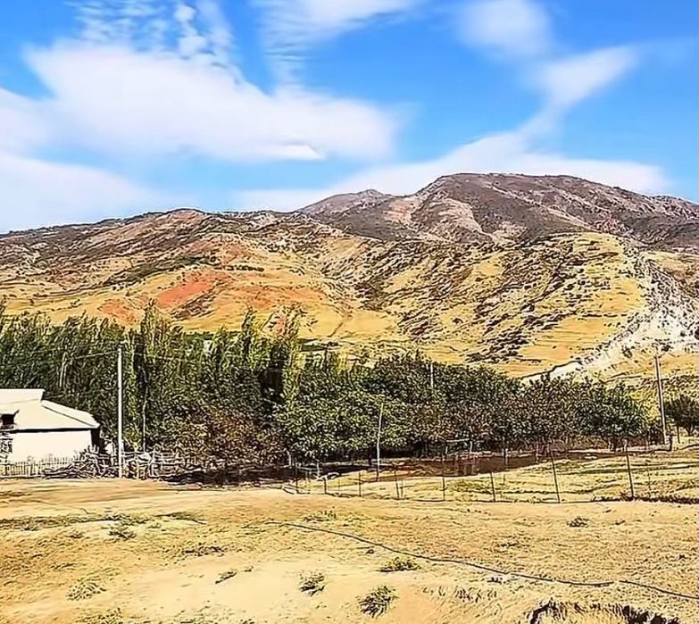 Bostonliq tumani qora mozorda 15 sotik