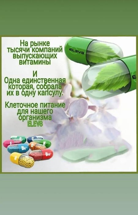 Елев8, Акселер8, Актив