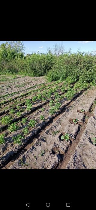 Продаётся  дача 14 соток на первой водоколонке!