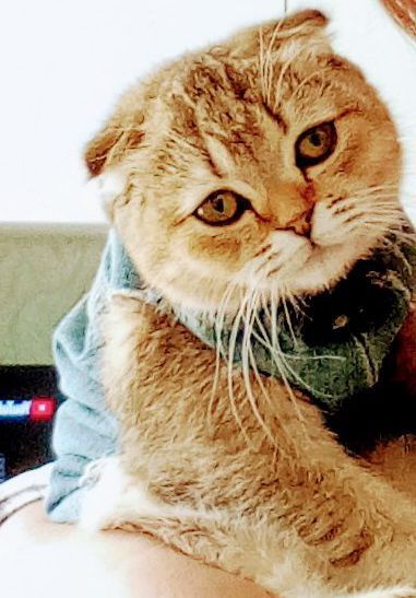 Вяска ишем принца