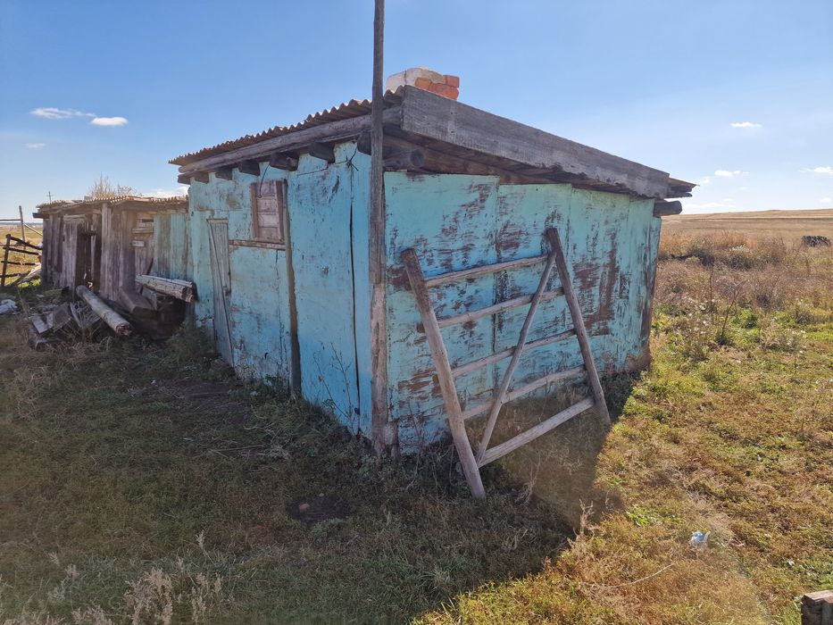 Ассалаумагалейкум