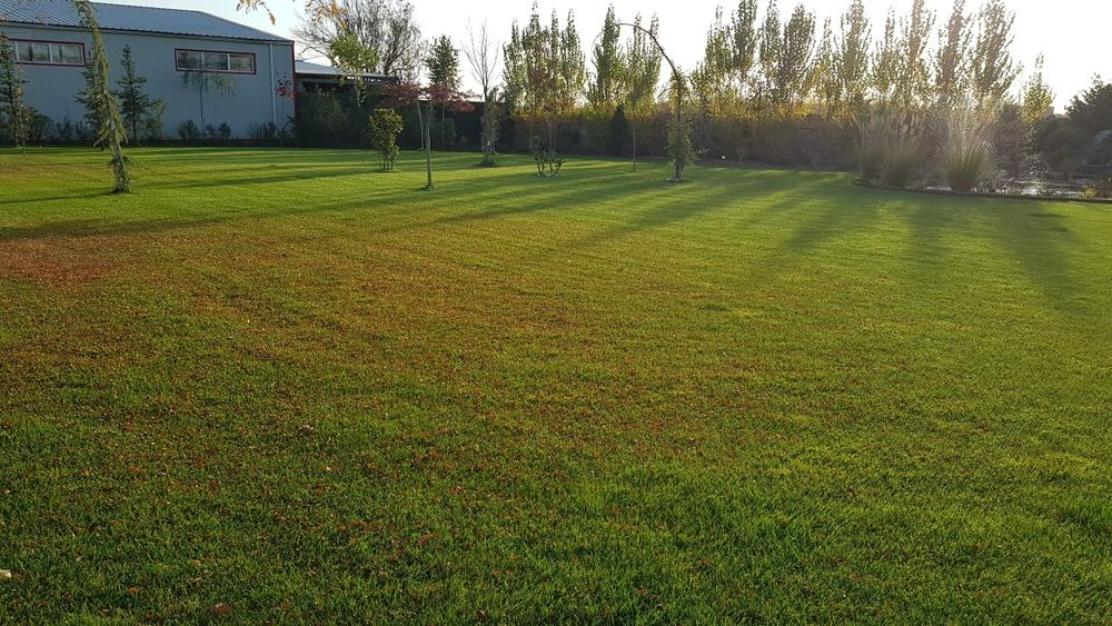 Vand roboti tuns iarba marca Husqvarna, Honda, Ambrogio