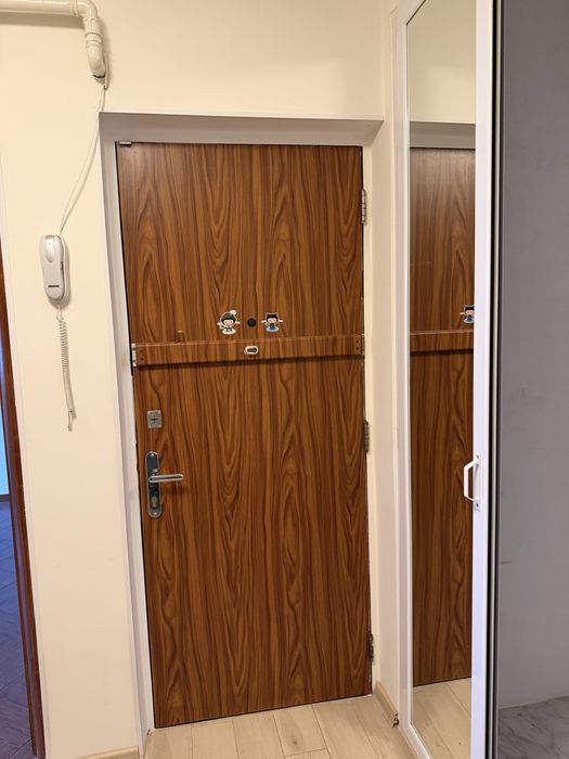 Usa intrare apartament