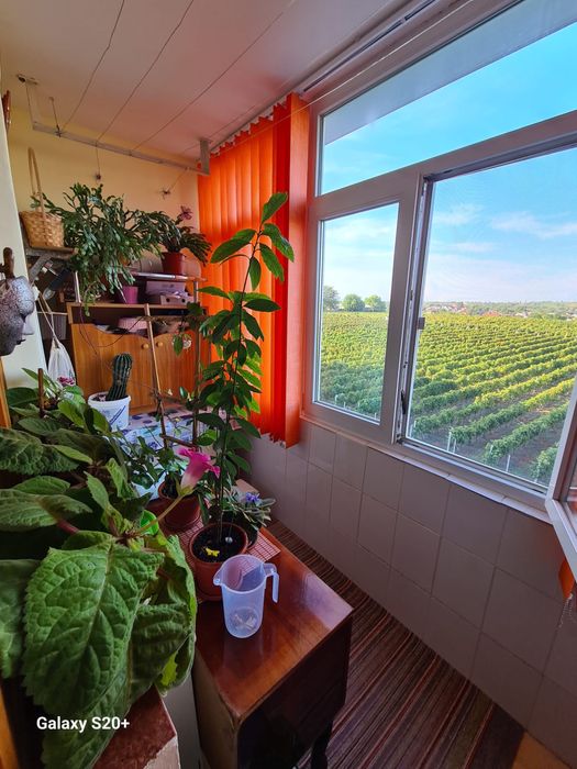 Apartament 2 camere Husi, jud. VS, mobilat, utilat