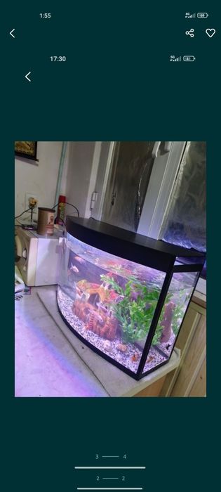 Avalniy Akvarium 60Litr