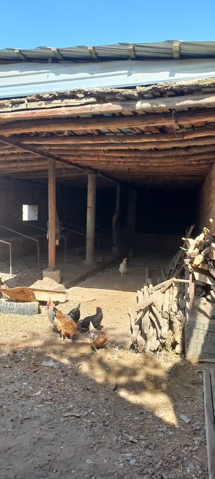 Хатирчи центрда ховли участка