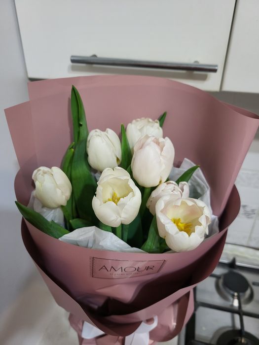 Продам цветы тюльпаны