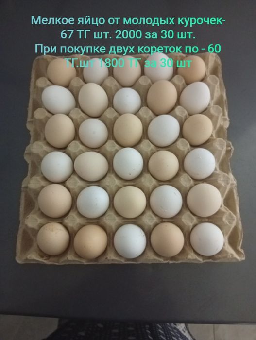 Продам яйца куриные домашние