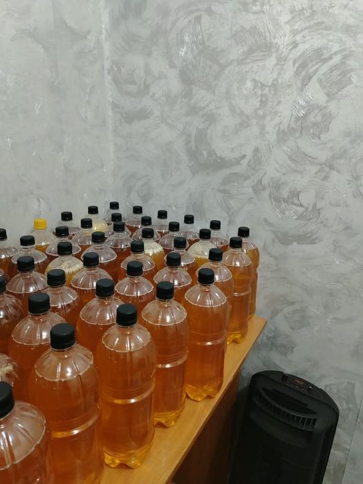 Продам мёд катонский