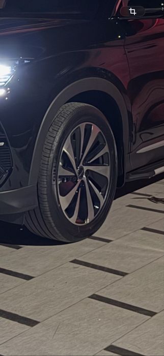 Byd champion diska yangi R19