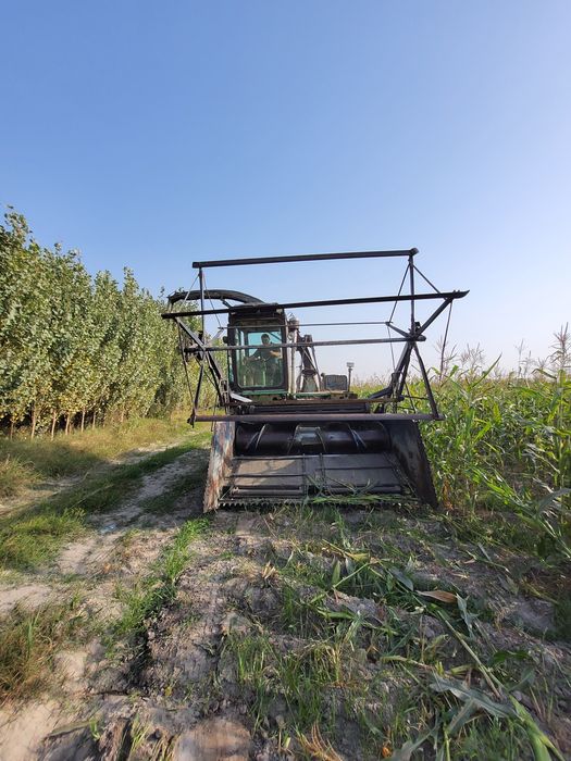 Maral silos kanbayn sotiladi