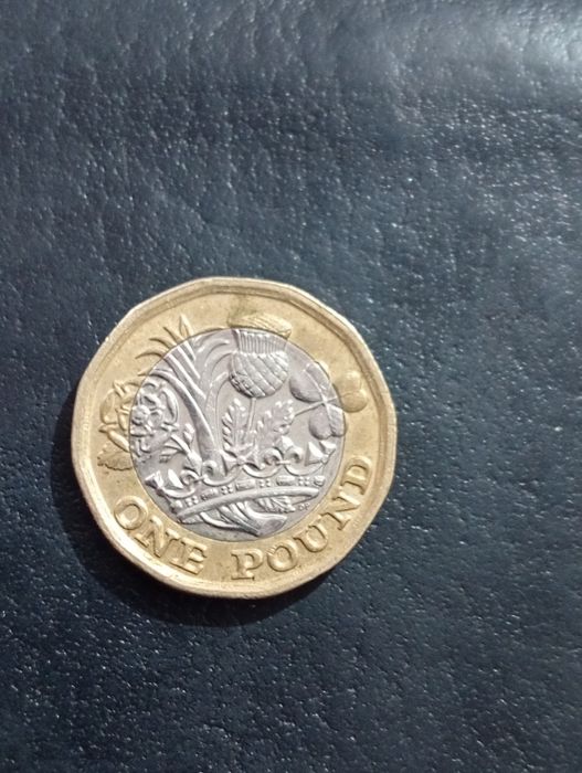 Moneda cu regina Elisabeta 2017