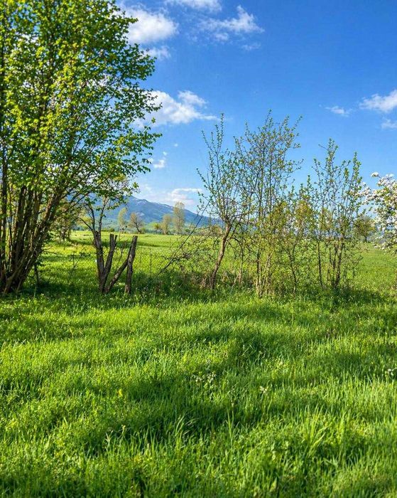 Teren intravilan de vânzare – Ostrov, Râu de Mori | Zonă superbă lângă Retezat