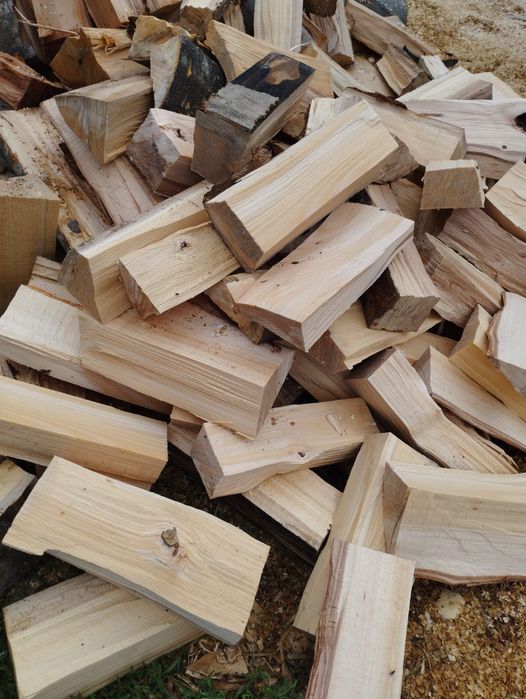 Lemne de foc fag capete uscate sau verzi 600lei tona sau la metru ster