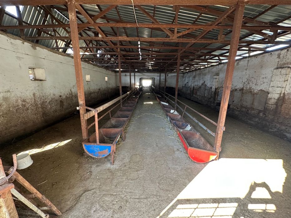 Фермерское хозяйство